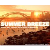 Summer Breeze (August 2013)