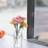 Monday Morning Mixtape 101 curated by K15