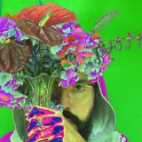 MY HEAD IS A JUNGLE