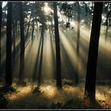 Bianco - Morning Light (Original Mix)