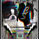 La Session du Chapeau Melon Vol.II mixed by Land Zar: your radio is pounding !