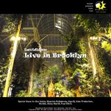 Live in Brooklyn - David Liam - Techno live