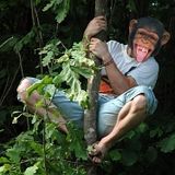 Monkey Summer Biznis