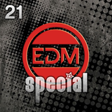 Special Mixed Tracks Vol 21 (Mixed By Franco Garbiso)