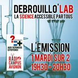 Débrouillo'Lab #16 sur les sciences du langage - 17/06/2014