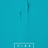 Biodan live at Vibe club (October 10,2015)