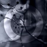 Tehnofonika POD005 - Halftribe