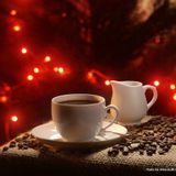 VOF 12/12/2014: BLOG RADIO SỐ 5 - MÙA ĐÔNG SÀI GÒN