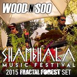 Wood n Soo - Shambhala 2015 Fractal Forest Mix