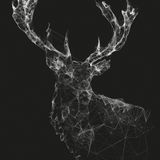 THE HOUSE OF THE DEER # 001