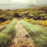 Optic Echo Presents - Best Vinyl of 2013