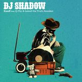 RJD2 Dj Shadow Diplo