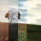 Seasons