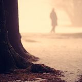 The Lost Way