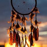 DREAMS & TRIBES