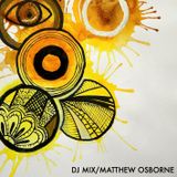 Flint Beats Launch,JW Marriott DJ Mix