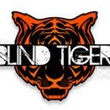 Live Mix @ Blind Tiger Bolton, 1st Feb 2013