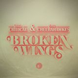 Mr. Critical vs Mr. Cheebahawkes - Broken Wings