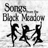 A Minstrel Came Out of the Meadow - The Artists of "Songs from the Black Meadow"