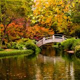 Plug - 24/10/11 - 3^ puntata__"Colors of Autumn"__