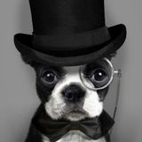 Get Classy