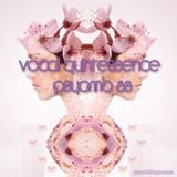 Vocal Quintessence - PsyAmb 88