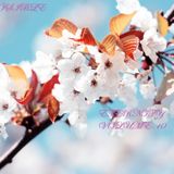 DJ.INVISIBLE ETERNITY VOLUME.10
