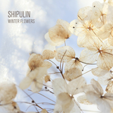 Shipulin - Winter flowers