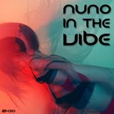 Nuno In The Vibe EP-010 (New Year Mix 2015)