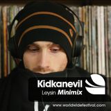 Kidkanevil