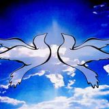 Skyrym Visions - Set for Peace 2013