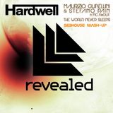 Hardwell vs Maurizio Gubellini,Stefano Pain ft MC FixOUT - The World² Never Sleeps (SeBHouse MashUp)