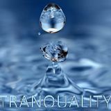 Techno-Tranquality Model 1