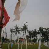Bali mushroom randomizer mixtape