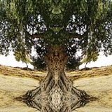 Michael Brückner - The Silent Scent of Olives Part 5 - Live Improvisation