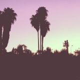 Sunset Vibes