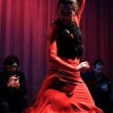 Flamenco Fix Feat La Joaquina Flamenco Express