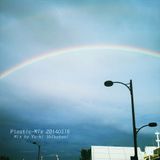 Plastic-Mix 20140516