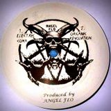 Unknown Artist - The Sodomixxx (Tribute to S.O.D.O.M. Records)