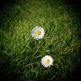Waiting for the sun Mix