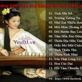 Tuyển tập nhạc hoa không lời hay nhất mọi thời đại | Vol.1
