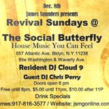 DJ Chris Perry Live at The Social Butterfly 12082012 pt 2