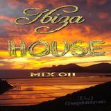 Mix 011
