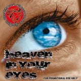 Chant Daun di mighty Lion presents "Heaven in your Eyes" wicked Reggae Mix 2k10 by Smokie