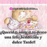 TEMERARIOS MIX