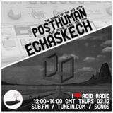 I Love Acid Radio, Dec 3rd 2015 with Posthuman & Echaskech