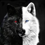 DJ-Nightwolf - club Mix
