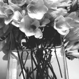 In Black & White