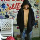 The Fox's First Mixtape - Spring 2008