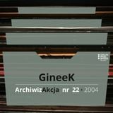 ArchiwizAkcja nr 22 – GineeK (2004)
